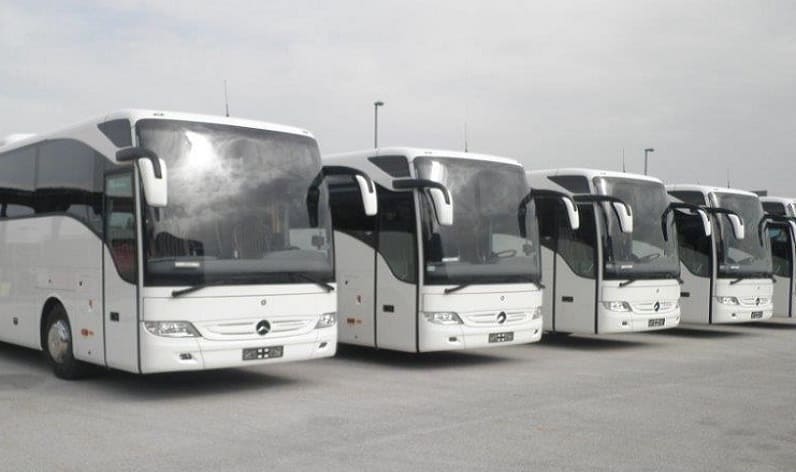 Grand Est: Bus company in Colmar in Colmar and France