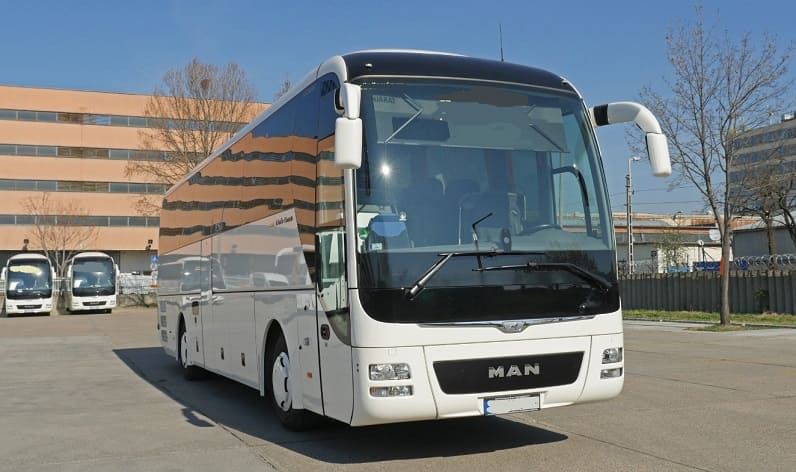 Baden-Württemberg: Buses operator in Freiburg im Breisgau in Freiburg im Breisgau and Germany